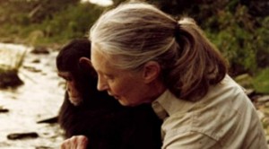 jane goodall_id
