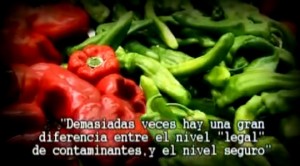 la_epidemia_quimica2